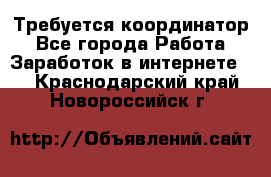 Требуется координатор - Все города Работа » Заработок в интернете   . Краснодарский край,Новороссийск г.